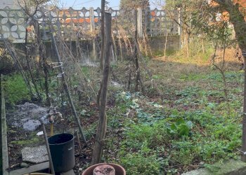 Foto 8 - Bilocale via Vittorio Veneto
 
50, Lonate Pozzolo - foto 8