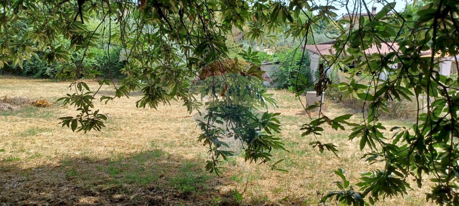 Giardino - Terreno edificabile Via di centogocce
snc, Lariano - foto 3