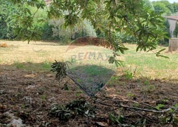 Giardino - Terreno edificabile Via di centogocce
 
snc, Lariano - foto 5