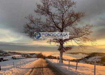 paesaggio - Casa indipendente via sant'antonio
 
35, Bosco Chiesanuova - foto 3