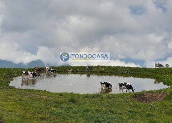 paesaggio - Casa indipendente via sant'antonio
 
35, Bosco Chiesanuova - foto 8