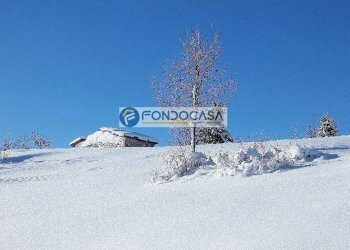 paesaggio - Casa indipendente via sant'antonio
 
35, Bosco Chiesanuova - foto 16