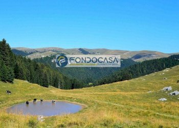 paesaggio - Casa indipendente via sant'antonio
 
35, Bosco Chiesanuova - foto 19