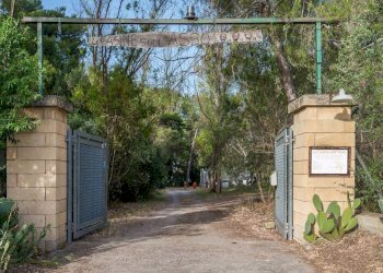 Foto 6 - Attività Commerciale Contrada Muto
 
Snc, Galatina - foto 6