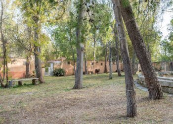 Foto 14 - Attività Commerciale Contrada Muto
 
Snc, Galatina - foto 14