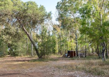 Foto 20 - Attività Commerciale Contrada Muto
 
Snc, Galatina - foto 20