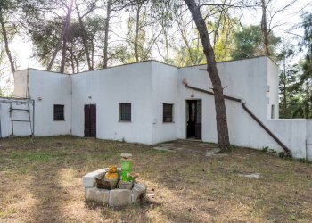 Foto 21 - Attività Commerciale Contrada Muto
 
Snc, Galatina - foto 21