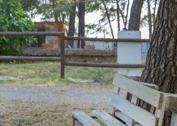 Foto 23 - Attività Commerciale Contrada Muto
 
Snc, Galatina - foto 23