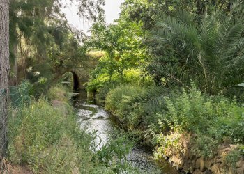 Foto 24 - Attività Commerciale Contrada Muto
 
Snc, Galatina - foto 24