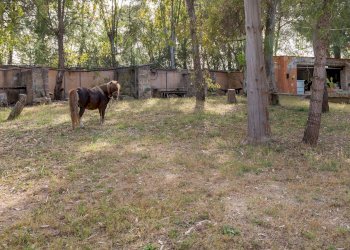 Foto 27 - Attività Commerciale Contrada Muto
 
Snc, Galatina - foto 27