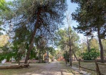 Foto 28 - Attività Commerciale Contrada Muto
 
Snc, Galatina - foto 28