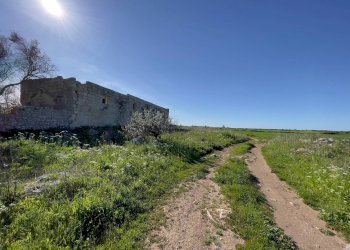 Foto 15 - Rustic Via Ardito Desio
 
snc, Lecce - photo 15