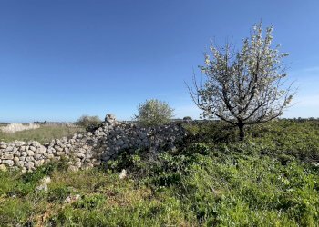 Foto 21 - Rustic Via Ardito Desio
 
snc, Lecce - photo 21