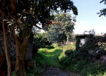 Giardino - Terreno agricolo Via Cesapepere, Quarto - foto 5