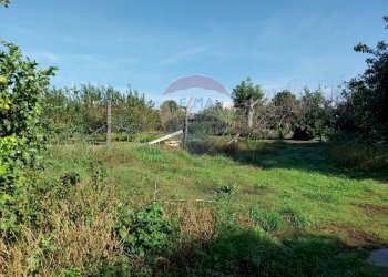 Giardino - Terreno agricolo Via Cesapepere, Quarto - foto 7