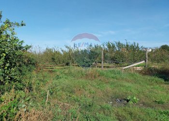 Giardino - Terreno agricolo Via Cesapepere, Quarto - foto 1