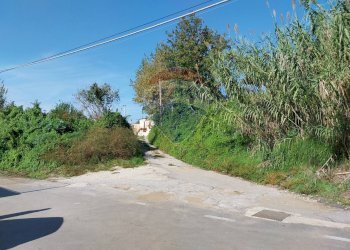 Giardino - Terreno agricolo Via Cesapepere, Quarto - foto 10