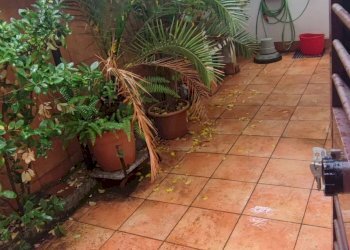 Foto 21 - Casa indipendente Via Trieste, Viareggio - foto 21