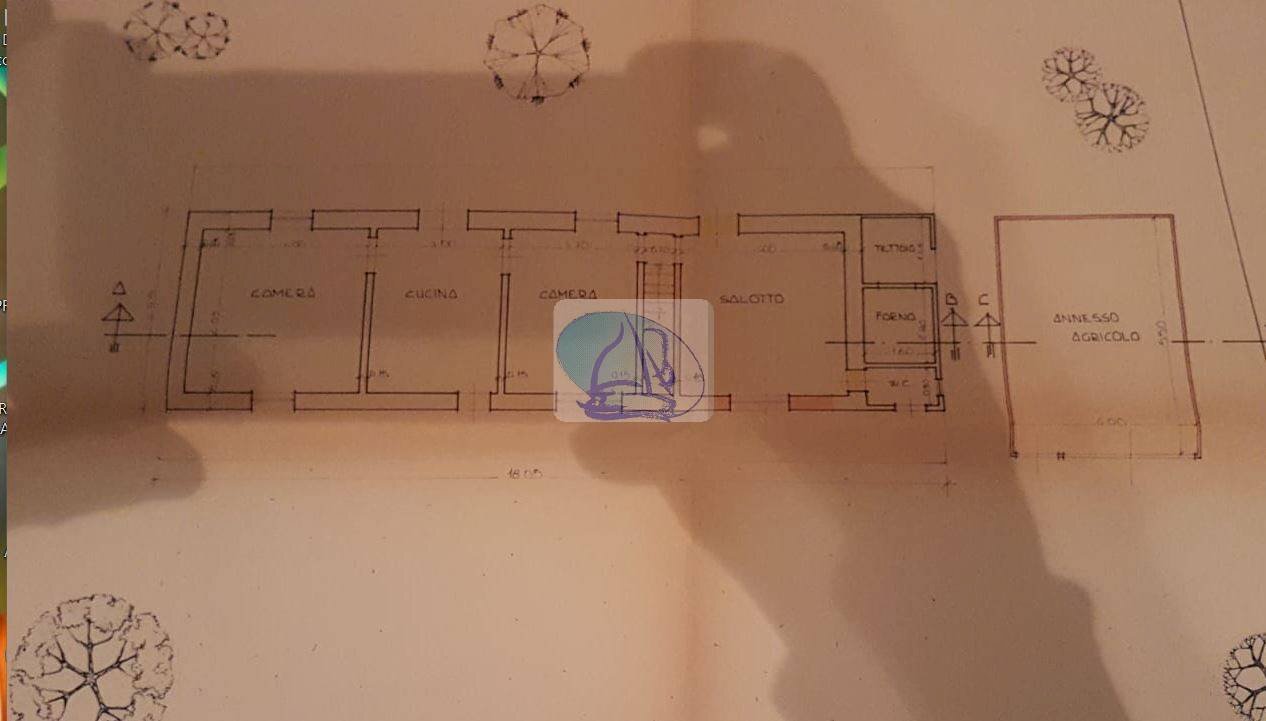 Foto 13 - Casa indipendente Via della Gronda, Viareggio - planimetria 1