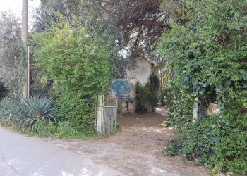 Foto 7 - Casa indipendente Via della Gronda, Viareggio - foto 7