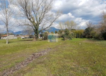 Foto 8 - Casa indipendente Via della Gronda, Viareggio - foto 8