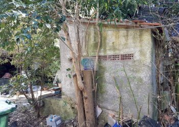 Foto 10 - Casa indipendente Via della Gronda, Viareggio - foto 10