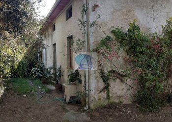 Foto 11 - Casa indipendente Via della Gronda, Viareggio - foto 11