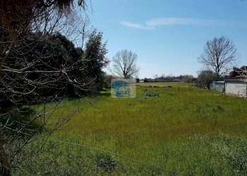 Foto 12 - Casa indipendente Via della Gronda, Viareggio - foto 12