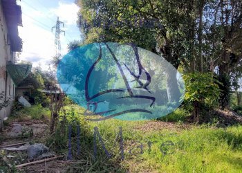 Foto 28 - Casa indipendente Via della Gronda, Viareggio - foto 25