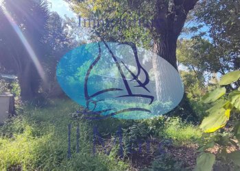 Foto 30 - Casa indipendente Via della Gronda, Viareggio - foto 27