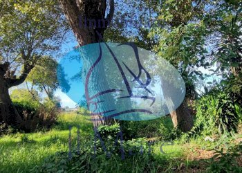 Foto 31 - Casa indipendente Via della Gronda, Viareggio - foto 28