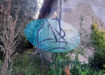 Foto 32 - Casa indipendente Via della Gronda, Viareggio - foto 29