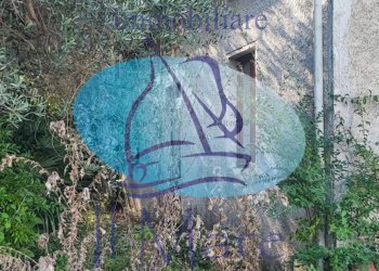 Foto 33 - Casa indipendente Via della Gronda, Viareggio - foto 30