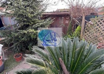 Foto 51 - Villa a Schiera Via ugo bassi, Viareggio - foto 51