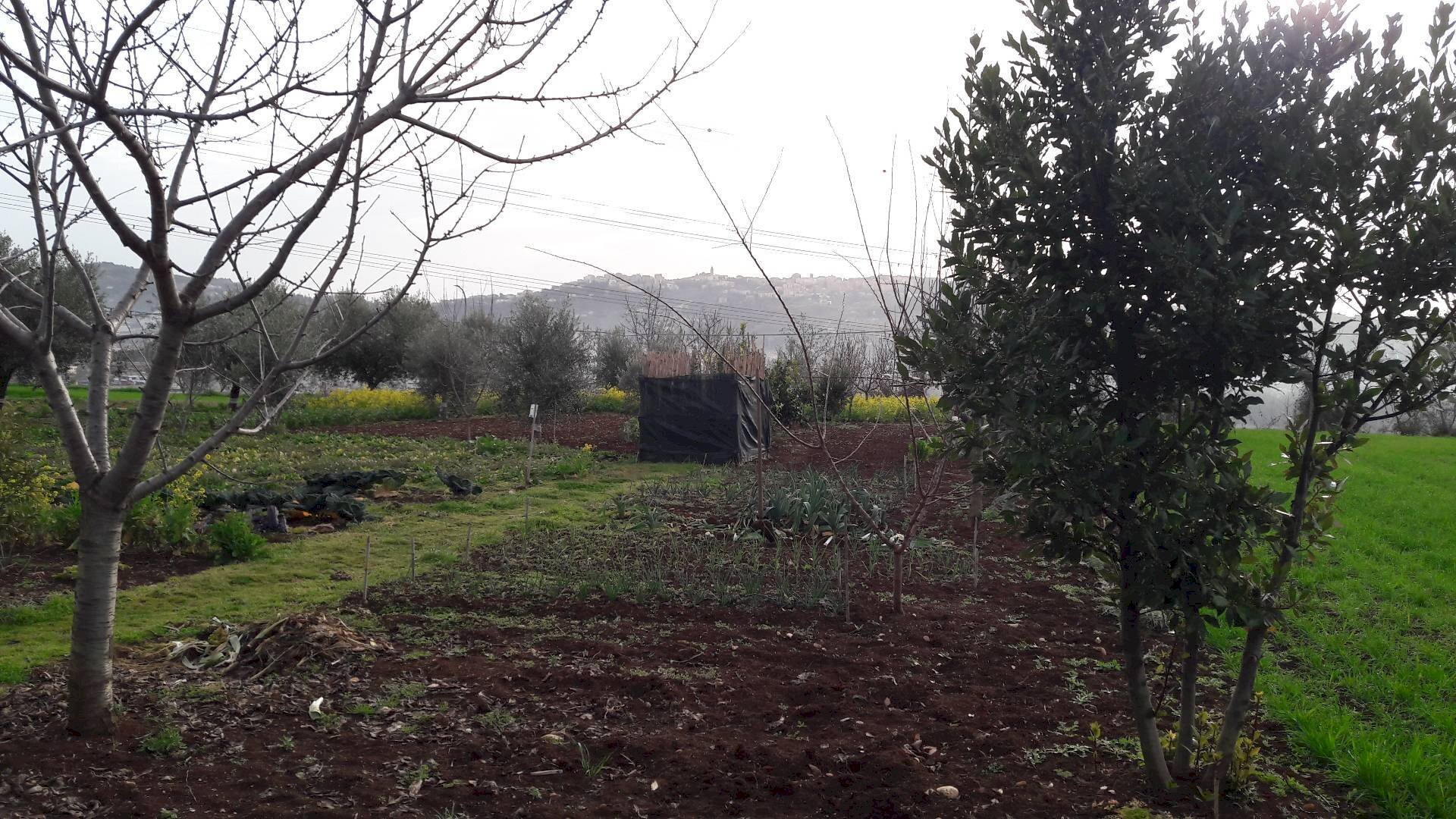 Foto 11 - Building land Cepagatti - photo 1