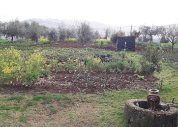 Foto 12 - Terreno edificabile Cepagatti - foto 2