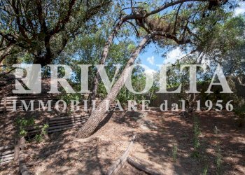 Foto 60 - Villa lungomare di sabaudia, Sabaudia - photo 60