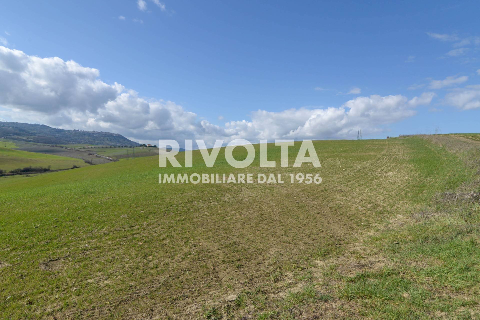 Foto 3 - Terreno edificabile podere lamo
 
snc, Montalcino - foto 3