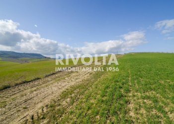 Foto 17 - Terreno edificabile podere lamo
snc, Montalcino - foto 17