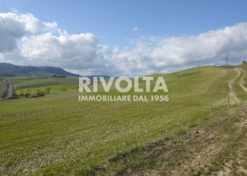 Foto 23 - Terreno edificabile podere lamo
snc, Montalcino - foto 23