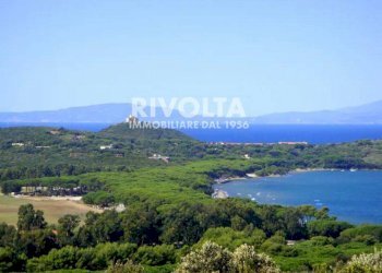 Foto 23 - Villa Via del Porto, Castiglione della Pescaia - foto 23