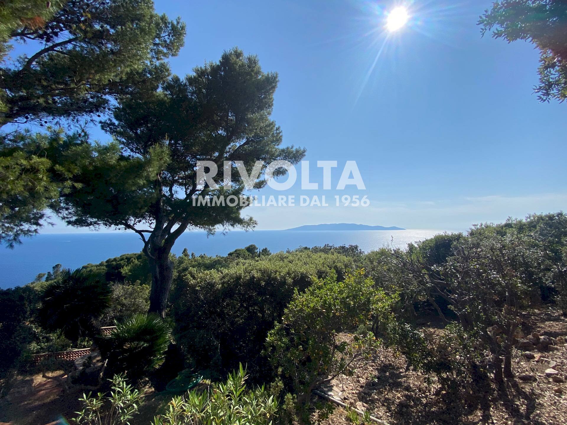 Foto 1 - Villa a Schiera Località Cala Piccola, Monte Argentario - foto 1