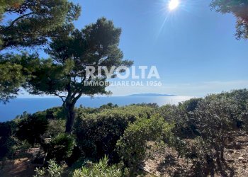 Foto 1 - Villa a Schiera Località Cala Piccola, Monte Argentario - foto 1
