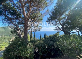 Foto 20 - Villa a Schiera Località Cala Piccola, Monte Argentario - foto 20