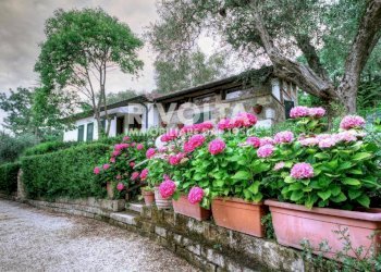 Foto 6 - Villa località terme di Saturnia, Manciano - foto 6