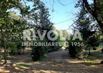 Castagneto - Villa Via Madonna Delle Grazie
 
snc, Canepina - foto 2