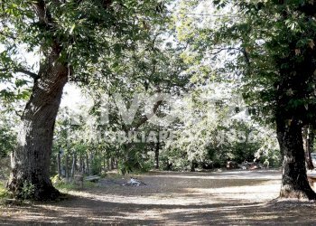 Castagneto - Villa Via Madonna Delle Grazie
 
snc, Canepina - foto 7