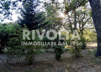 Bosco - Villa Via Madonna Delle Grazie
 
snc, Canepina - foto 9