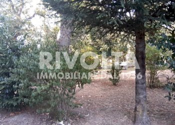 Bosco - Villa Via Madonna Delle Grazie
 
snc, Canepina - foto 15