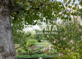 Foto 9 - Villa Via Roane, Collevecchio - photo 9